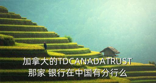 加拿大的TDCANADATRUST那家 銀行在中國(guó)有分行么