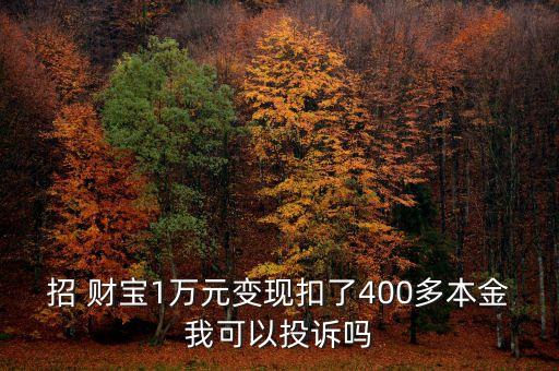 上海招財寶金融服務信息有限公司網(wǎng)站
