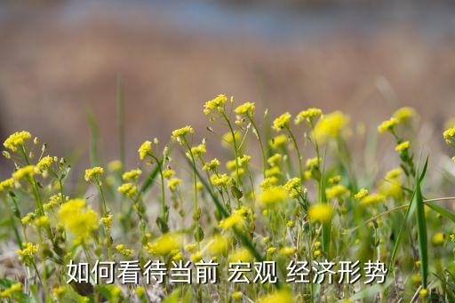 如何看待當(dāng)前 宏觀 經(jīng)濟形勢