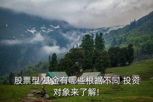  股票型 基金有哪些根據(jù)不同 投資對(duì)象來了解!