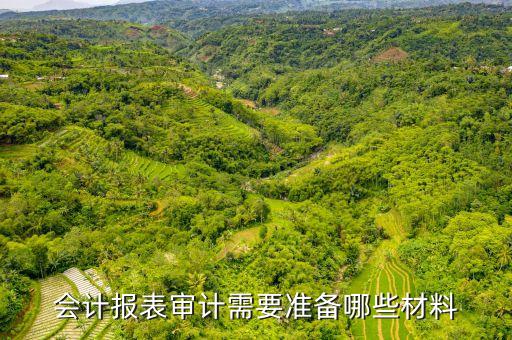 銀行盤(pán)點(diǎn)表,銀行票據(jù)盤(pán)點(diǎn)表