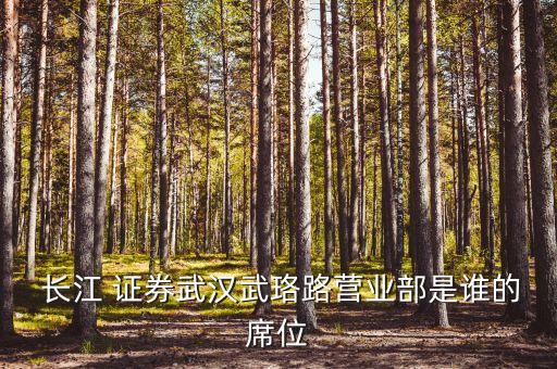  長(zhǎng)江 證券武漢武珞路營(yíng)業(yè)部是誰的席位