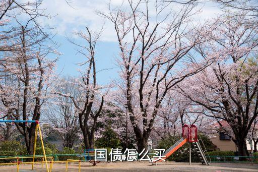  國(guó)債怎么買(mǎi)