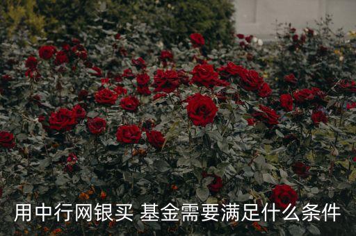 用中行網(wǎng)銀買(mǎi) 基金需要滿(mǎn)足什么條件