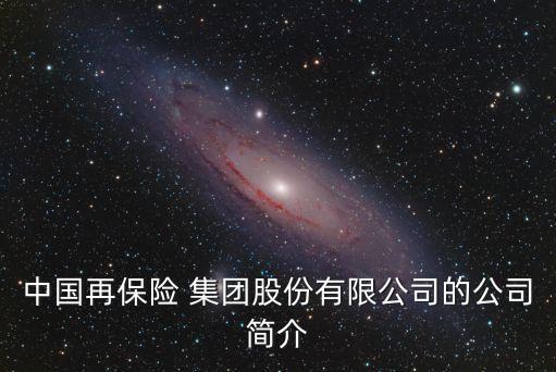 中國再保險 集團股份有限公司的公司簡介