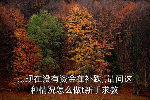 ...現(xiàn)在沒有資金在補跌,,請問這種情況怎么做t新手求教