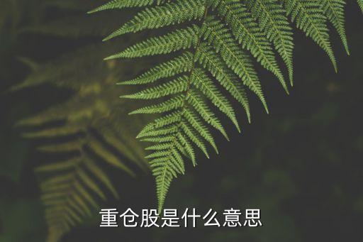 重倉(cāng)股是什么意思