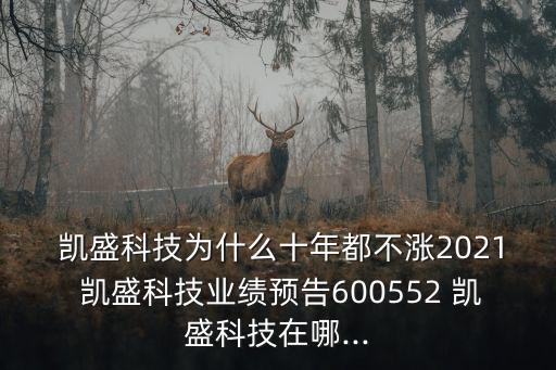  凱盛科技為什么十年都不漲2021 凱盛科技業(yè)績預告600552 凱盛科技在哪...