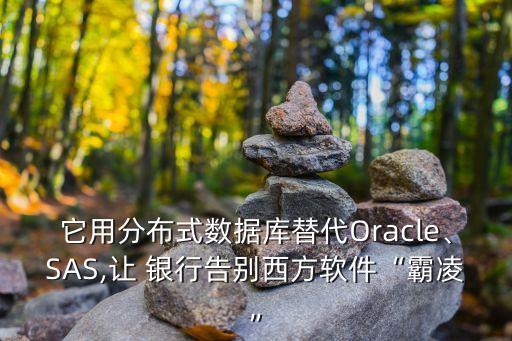 它用分布式數(shù)據(jù)庫替代Oracle、SAS,讓 銀行告別西方軟件“霸凌”