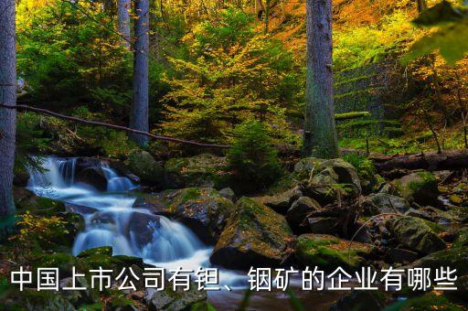 中國上市公司有鉭、銦礦的企業(yè)有哪些