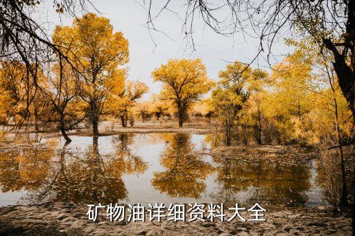 中國石油授權電纜