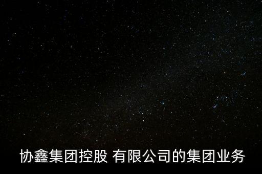  協(xié)鑫集團控股 有限公司的集團業(yè)務(wù)