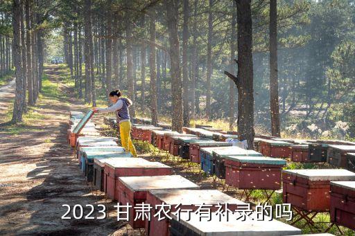 2023 甘肅農(nóng)行有補錄的嗎