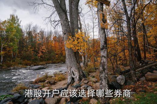 港股開(kāi)戶(hù)應(yīng)該選擇哪些券商