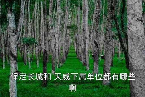 中國保定天威集團(tuán),保定天威集團(tuán)領(lǐng)導(dǎo)班子成員
