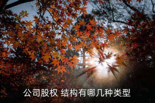 公司股權(quán) 結(jié)構(gòu)有哪幾種類(lèi)型