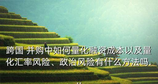 跨國(guó) 并購(gòu)中如何量化融資成本以及量化匯率風(fēng)險(xiǎn)、政治風(fēng)險(xiǎn)有什么方法嗎...