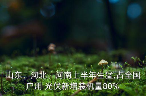 山東、河北、河南上半年生猛,占全國(guó)戶用 光伏新增裝機(jī)量80%