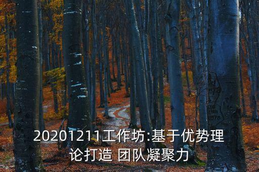 20201211工作坊:基于優(yōu)勢理論打造 團隊凝聚力