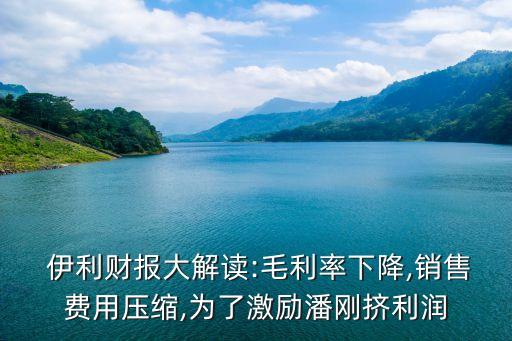  伊利財(cái)報(bào)大解讀:毛利率下降,銷售費(fèi)用壓縮,為了激勵(lì)潘剛擠利潤(rùn)
