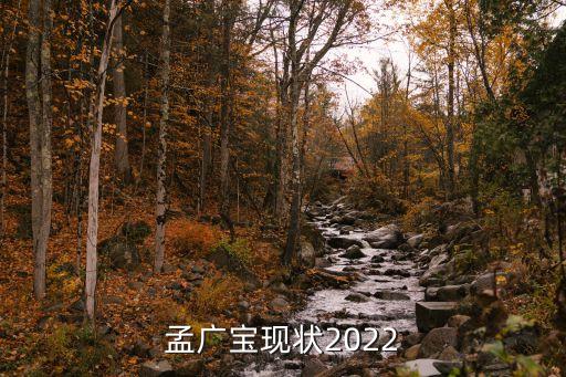 孟廣寶現狀2022