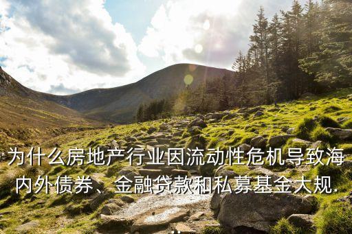 為什么房地產(chǎn)行業(yè)因流動性危機導致海內(nèi)外債券、金融貸款和私募基金大規(guī)...