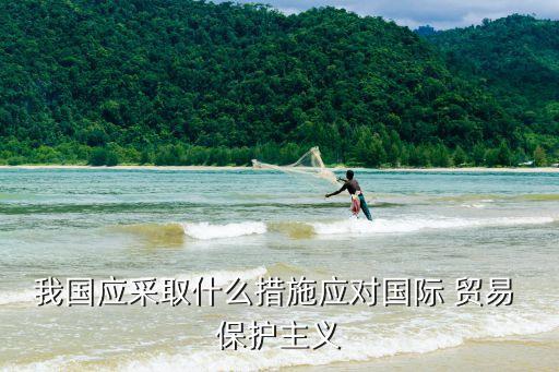 我國應(yīng)采取什么措施應(yīng)對(duì)國際 貿(mào)易 保護(hù)主義