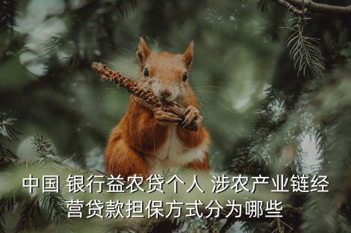 中國 銀行益農(nóng)貸個(gè)人 涉農(nóng)產(chǎn)業(yè)鏈經(jīng)營貸款擔(dān)保方式分為哪些