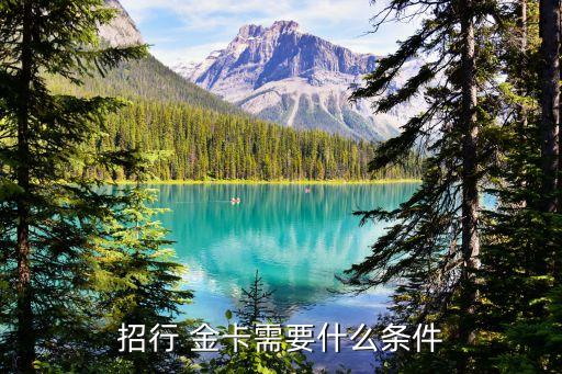 招行 金卡需要什么條件