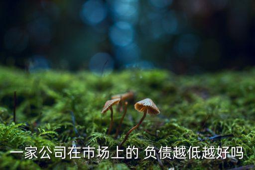 一家公司在市場上的 負債越低越好嗎