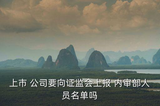 公司內審部門
