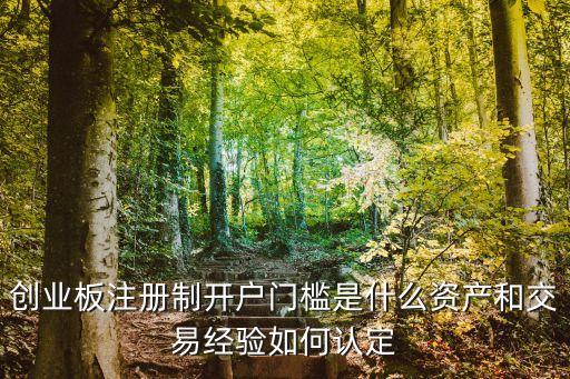 創(chuàng)業(yè)板注冊(cè)制開(kāi)戶(hù)門(mén)檻是什么資產(chǎn)和交易經(jīng)驗(yàn)如何認(rèn)定