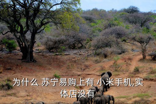 為什么 蘇寧易購(gòu)上有 小米手機(jī),實(shí)體店沒(méi)有
