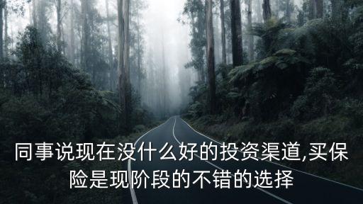 同事說(shuō)現(xiàn)在沒什么好的投資渠道,買保險(xiǎn)是現(xiàn)階段的不錯(cuò)的選擇