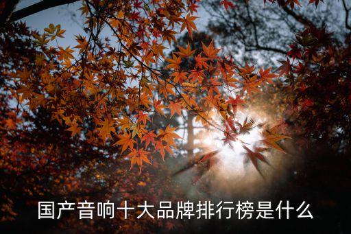 國(guó)產(chǎn)音響十大品牌排行榜是什么