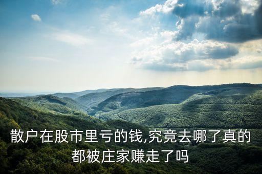 股票蒸發(fā)的錢(qián)去哪了,茅臺(tái)股票蒸發(fā)多少錢(qián)