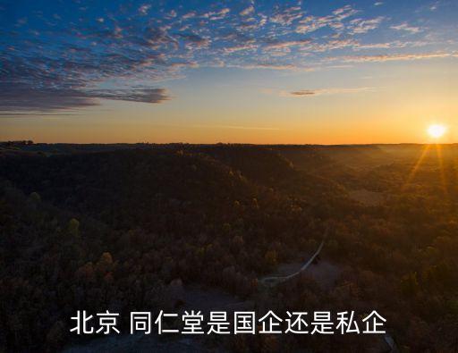 北京 同仁堂是國企還是私企
