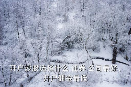 開戶炒股選擇什么 證券 公司最好、開戶傭金最低