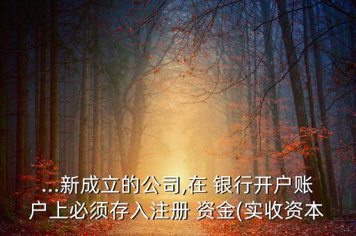 ...新成立的公司,在 銀行開(kāi)戶(hù)賬戶(hù)上必須存入注冊(cè) 資金(實(shí)收資本