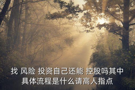 找 風險 投資自己還能 控股嗎其中具體流程是什么請高人指點