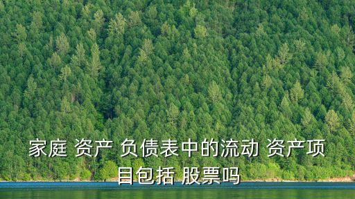 家庭 資產(chǎn) 負(fù)債表中的流動 資產(chǎn)項(xiàng)目包括 股票嗎