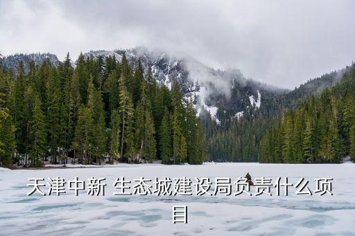  天津中新 生態(tài)城建設(shè)局負責(zé)什么項目
