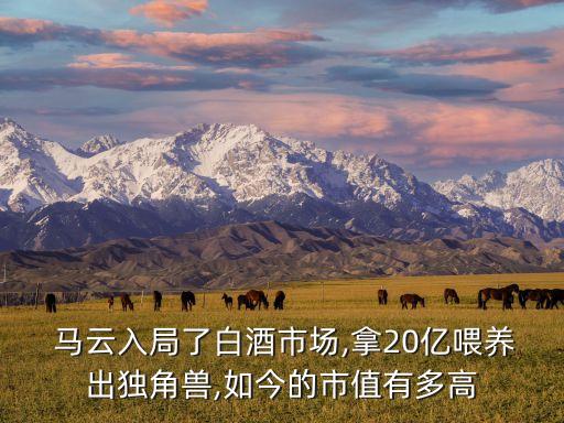  馬云入局了白酒市場(chǎng),拿20億喂養(yǎng)出獨(dú)角獸,如今的市值有多高