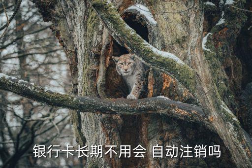  銀行卡長期不用會 自動注銷嗎