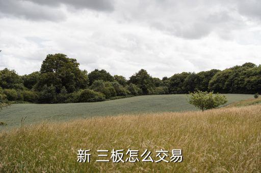 三板股票信息披露平臺