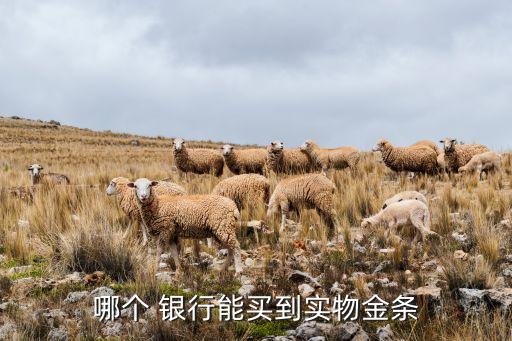 哪個(gè) 銀行能買(mǎi)到實(shí)物金條