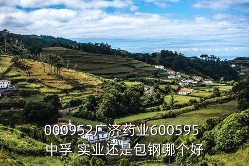 000952廣濟(jì)藥業(yè)600595 中孚 實(shí)業(yè)還是包鋼哪個好