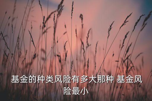  基金的種類風險有多大那種 基金風險最小
