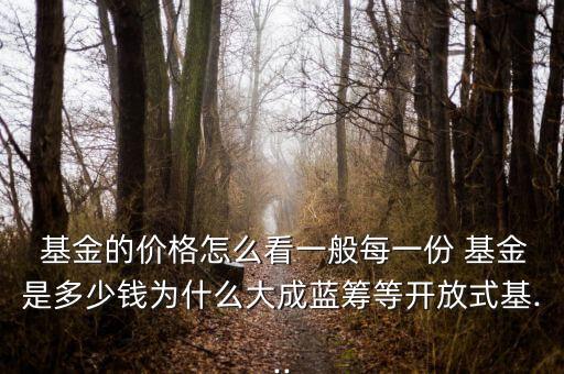  基金的價格怎么看一般每一份 基金是多少錢為什么大成藍籌等開放式基...