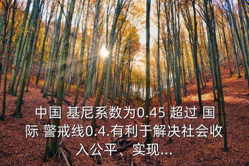 中國 基尼系數(shù)為0.45 超過 國際 警戒線0.4.有利于解決社會收入公平、實現(xiàn)...